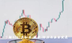 了解BIDT虚拟币：现状、潜