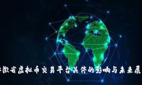 安徽省虚拟币交易平台关停的影响与未来展望