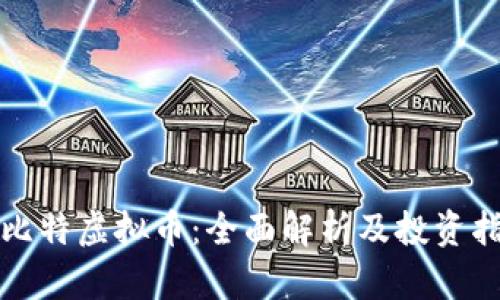 扎比特虚拟币：全面解析及投资指南
