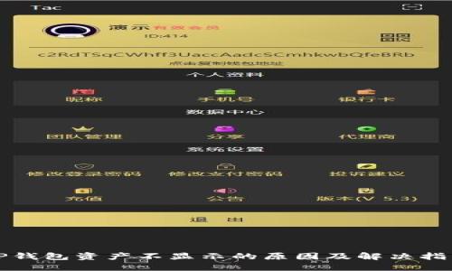 TP钱包资产不显示的原因及解决指南