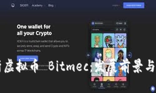 深入分析虚拟币 Bitmec：发展前景与投资潜力