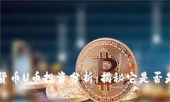 虚拟货币U币投资分析：揭秘它是否是骗局