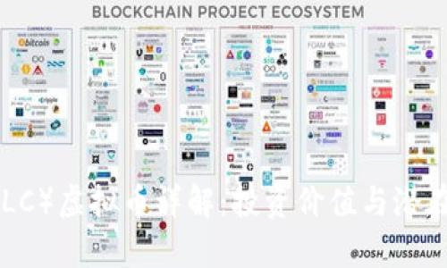 CLCoin（CLC）虚拟币详解：投资价值与潜在风险分析