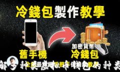 全面了解多种类虚拟币钱包的种类和选择