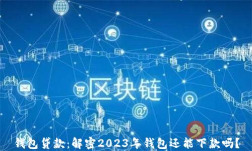 
钱包贷款：解密2023年钱包还能下款吗？