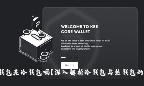 t p钱包是冷钱包吗？深入解析冷钱包与热钱包的区别