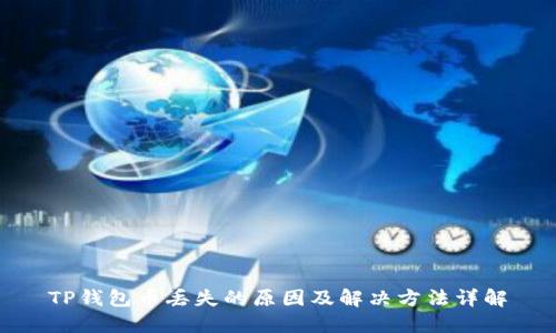 TP钱包币丢失的原因及解决方法详解