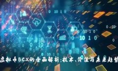 虚拟币BCX的全面解析：技