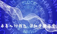 如何将FIL币导入TP钱包：详细步骤与常见问题解析