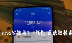 深入探讨Solana公链与T P钱包：区块链技术的未来