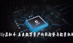 Flip虚拟币：未来数字资产的新趋势与投资机遇