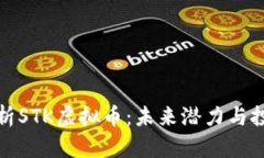 深入解析STK虚拟币：未来潜力与投资策略