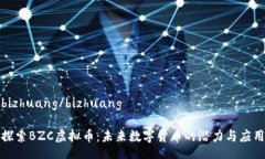 bizhuang/bizhuang探索BZC虚拟币：未来数字货币的潜力