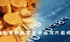 深入解析：TP钱包中的数字