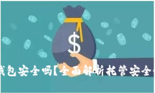 虚拟币托管钱包安全吗？全面解析托管安全性与选购指南