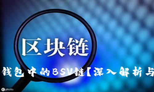 什么是TP钱包中的BSV链？深入解析与使用指南