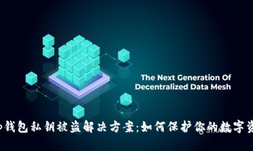 t p钱包私钥被盗解决方案：如何保护你的数字资产