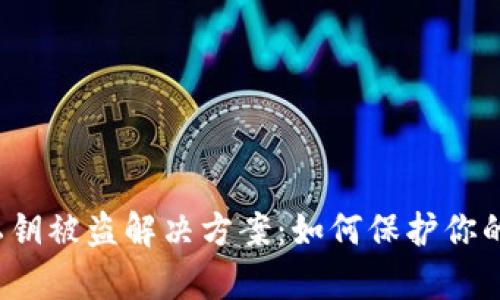 t p钱包私钥被盗解决方案：如何保护你的数字资产