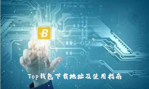 Top钱包下载地址及使用指南