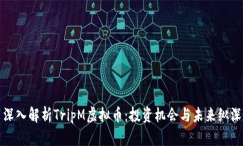 深入解析TripM虚拟币：投资机会与未来纵深