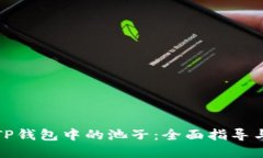 如何查看TP钱包中的池子：