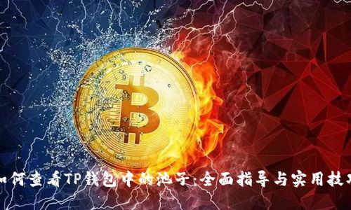 如何查看TP钱包中的池子：全面指导与实用技巧