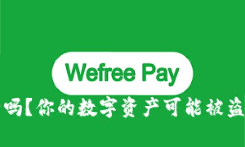 TP钱包安全吗？你的数字资产可能被盗的风险解析