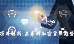 虚拟币315项目解析：未来