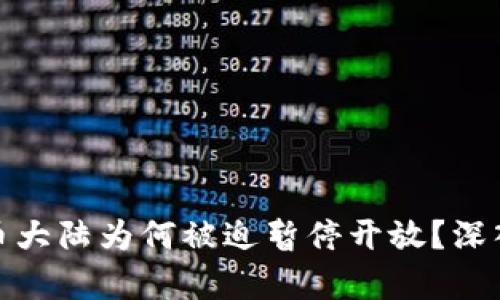 2025必看：虚拟币大陆为何被迫暂停开放？深入分析与未来展望