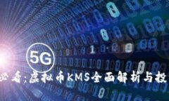 2025必看：虚拟币KMS全面解