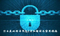 什么是比特币钱包？详细解析及实用指南