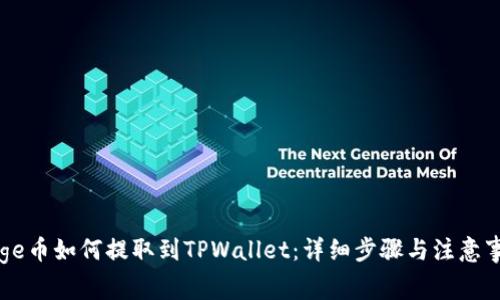 Doge币如何提取到TPWallet：详细步骤与注意事项
