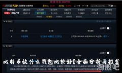 比特币放什么钱包比较好？全面分析与推荐