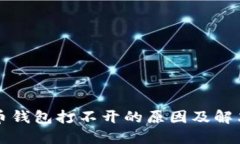 比特币钱包打不开的原因及解决方案