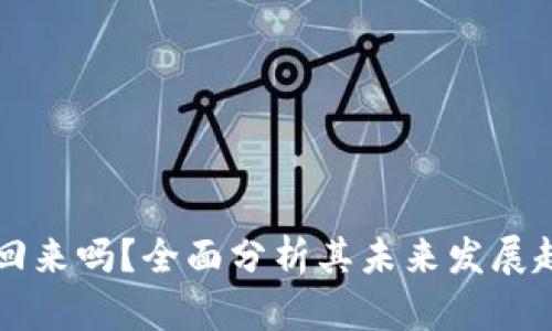 TPWallet会回来吗？全面分析其未来发展趋势与可能性